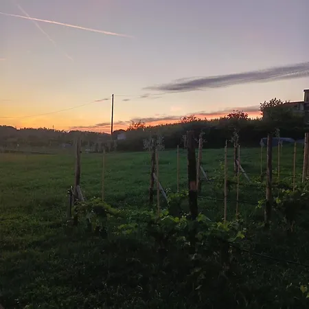 Le Vigne Sull'adda فندق مبيت وإفطار Bottanuco